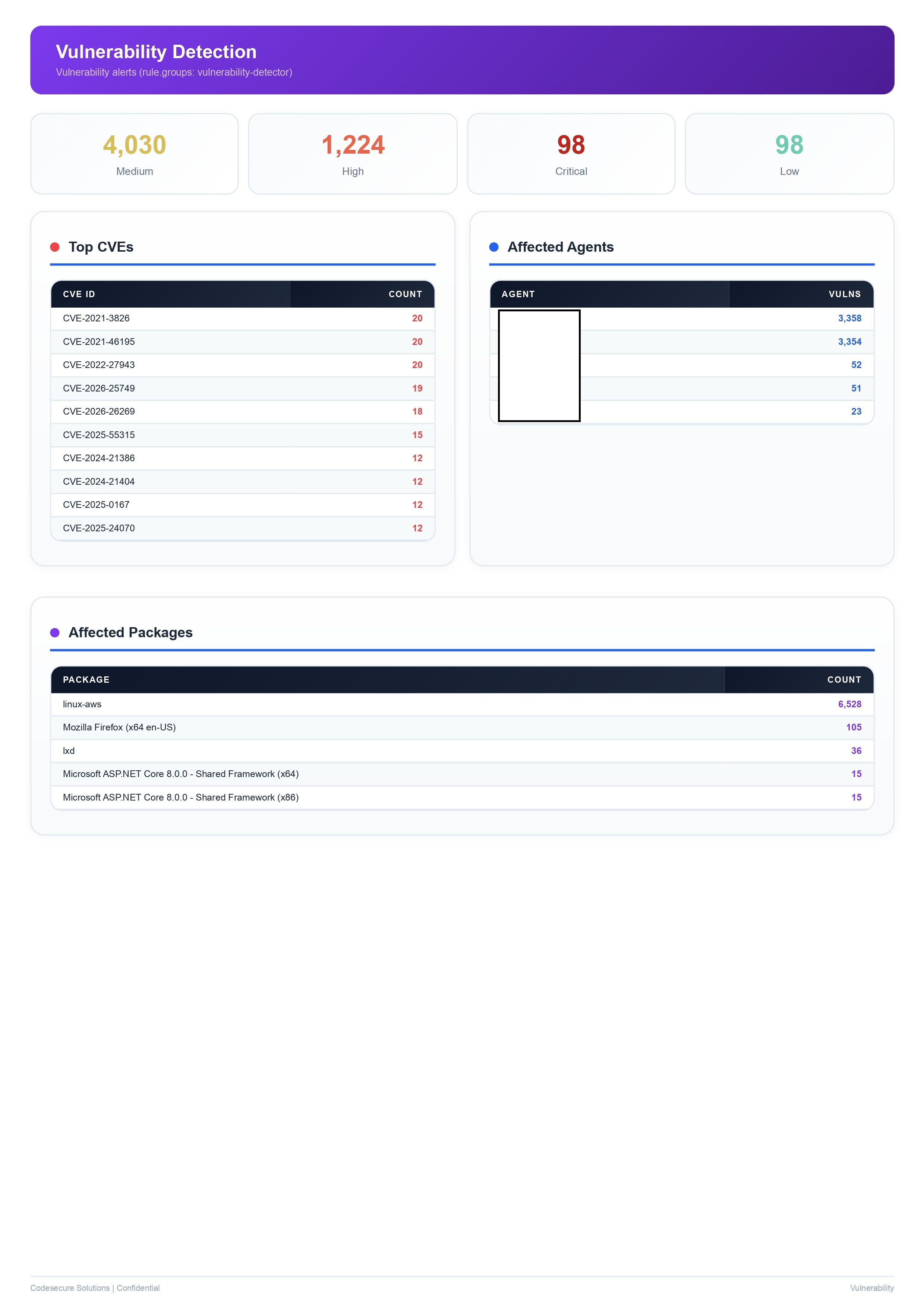 Vulnerability Detection